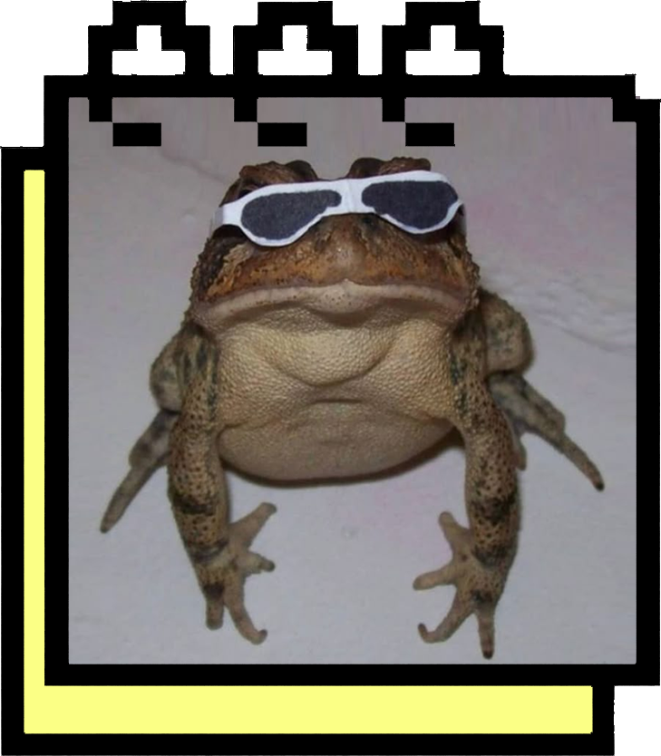 Frog of The Month